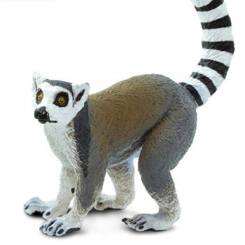 Cat Lemurs - SAFARI Ltd.