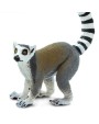 Kaķu Lemurs - SAFARI Ltd.