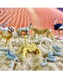 Sahāras Tuksneša Dzīvnieki TOOB® - SAFARI Ltd.