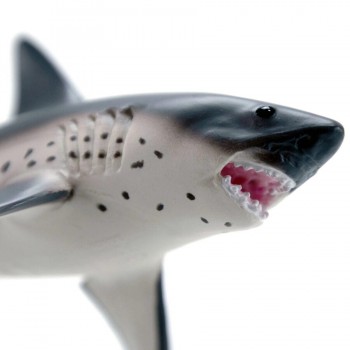 Salmon Shark - SAFARI Ltd.
