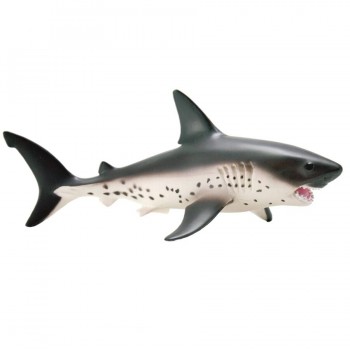 Salmon Shark - SAFARI Ltd.