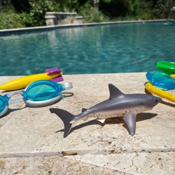 Salmon Shark - SAFARI Ltd.