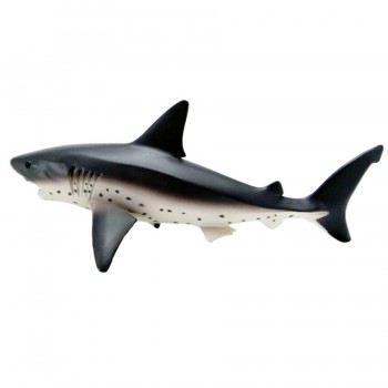 Salmon Shark - SAFARI Ltd.