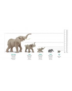 Vista - SAFARI Ltd.