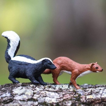 Skunkss