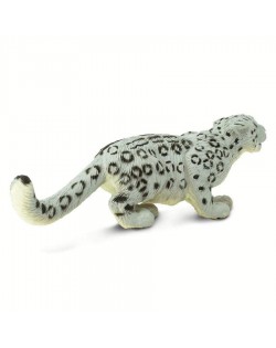 Sniega Leopards