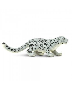 Sniega Leopards