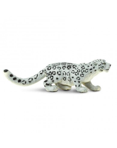 Sniega Leopards