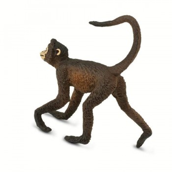 Spider monkey