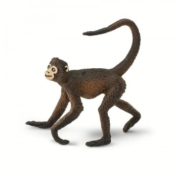 Spider monkey