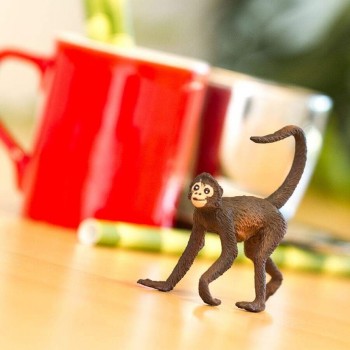 Spider monkey