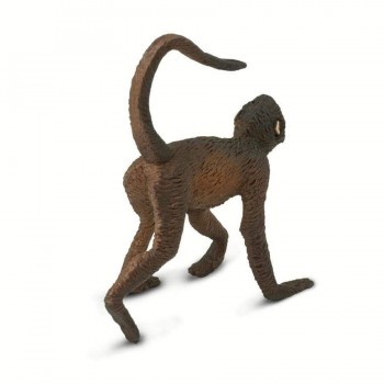 Spider monkey