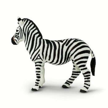 Zebra 2