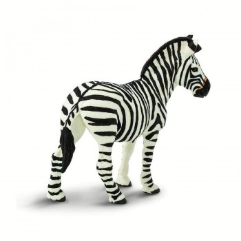 Zebra 2
