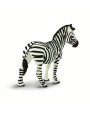Zebra 2 - SAFARI Ltd.