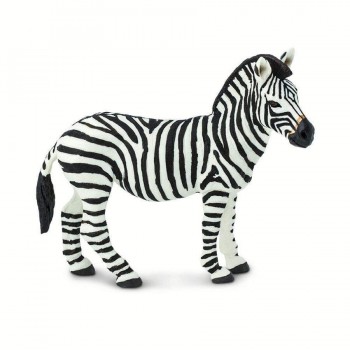 Zebra 2