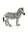 Zebra 2 - SAFARI Ltd.