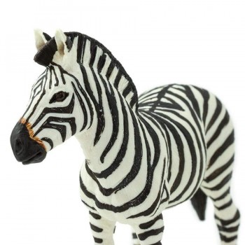 Zebra 2