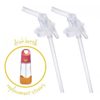 Spare Straws for Tritan Bottle, 2 pcs.