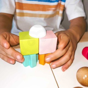 Wooden Block Game with Tasks - TOOKY TOY