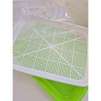 CONTAINER FOR GROWING MICROGREENS SPROUTS WITH LID - OUWAKIDS