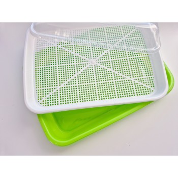 CONTAINER FOR GROWING MICROGREENS SPROUTS WITH LID - OUWAKIDS