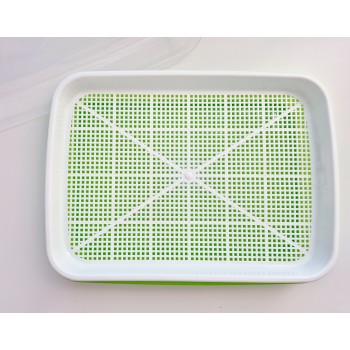 CONTAINER FOR GROWING MICROGREENS SPROUTS WITH LID - OUWAKIDS