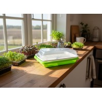 CONTAINER FOR GROWING MICROGREENS SPROUTS WITH LID - OUWAKIDS