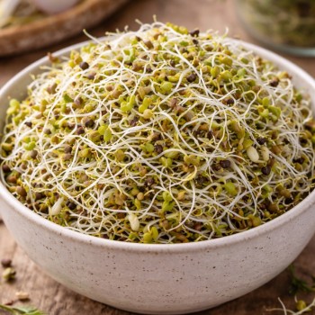 DĪGSTU SĒKLAS DIEDZĒŠANAI FRENCH MIX - OUWAKIDS