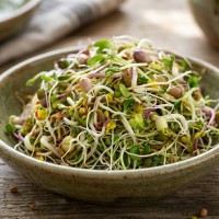 DĪGSTU SĒKLAS DIEDZĒŠANAI HOT MIX - OUWAKIDS DĪGSTU SĒKLAS DIEDZĒŠANAI HOT MIX - OUWAKIDS