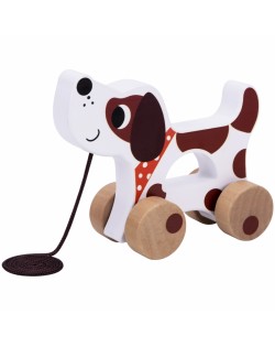 Izglītojošs Rotaļlietu Komplekts No 19 Mēnešiem - TOOKY TOY