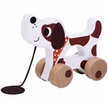 Educational Toy Set From 19 Months - TOOKY TOY