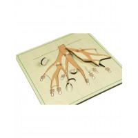 PUZLE SAKNES - OUWAKIDS