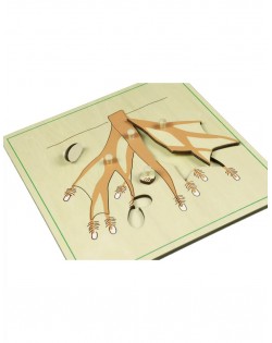 PUZLE SAKNES - OUWAKIDS