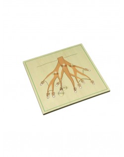 PUZLE SAKNES - OUWAKIDS