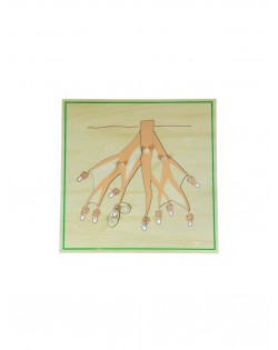 PUZLE SAKNES - OUWAKIDS