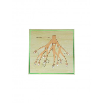 PUZLE SAKNES - OUWAKIDS