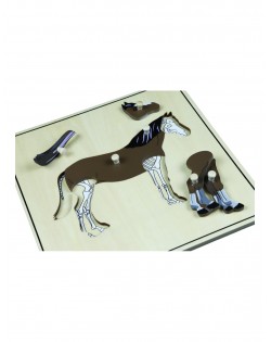 Puzle Zirgs Ar Skeletu - OUWAKIDS