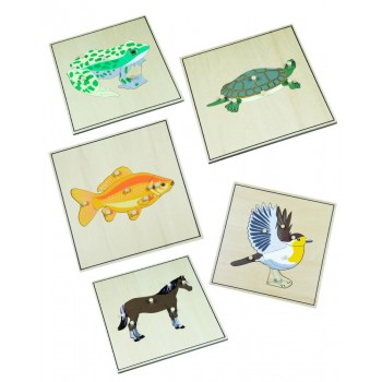 Dzīvnieku Puzles Ar Skeletu Attēlojumiem, Komplektā 5 Puzles - OUWKIDS - PIEEJAMS PĒC PASŪTĪJUMA