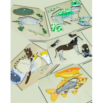 Dzīvnieku Puzles Ar Skeletu Attēlojumiem, Komplektā 5 Puzles - OUWKIDS - PIEEJAMS PĒC PASŪTĪJUMA