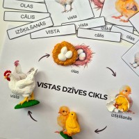 VISTAS DZĪVES CIKLA FIGŪRIŅU KOMPLEKTS AR LAMINĒTU MĀCĪBU MATERIĀLU - OUWAKIDS