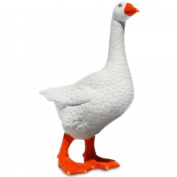 ZOSS - SAFARI LTD. ZOSS - SAFARI LTD.