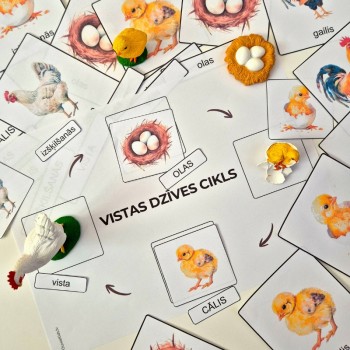 VISTAS DZĪVES CIKLA FIGŪRIŅU KOMPLEKTS AR LAMINĒTU MĀCĪBU MATERIĀLU - OUWAKIDS