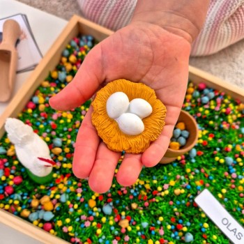 VISTAS DZĪVES CIKLA FIGŪRIŅAS (VISTA, OLA, IZŠĶILŠANĀS, CĀLIS) - OUWAKIDS