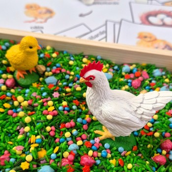 VISTAS DZĪVES CIKLA FIGŪRIŅAS (VISTA, OLA, IZŠĶILŠANĀS, CĀLIS) - OUWAKIDS