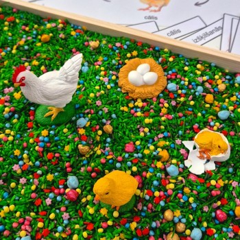 VISTAS DZĪVES CIKLA FIGŪRIŅAS (VISTA, OLA, IZŠĶILŠANĀS, CĀLIS) - OUWAKIDS