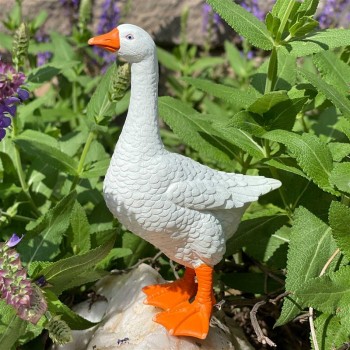 ZOSS - SAFARI LTD. ZOSS - SAFARI LTD.