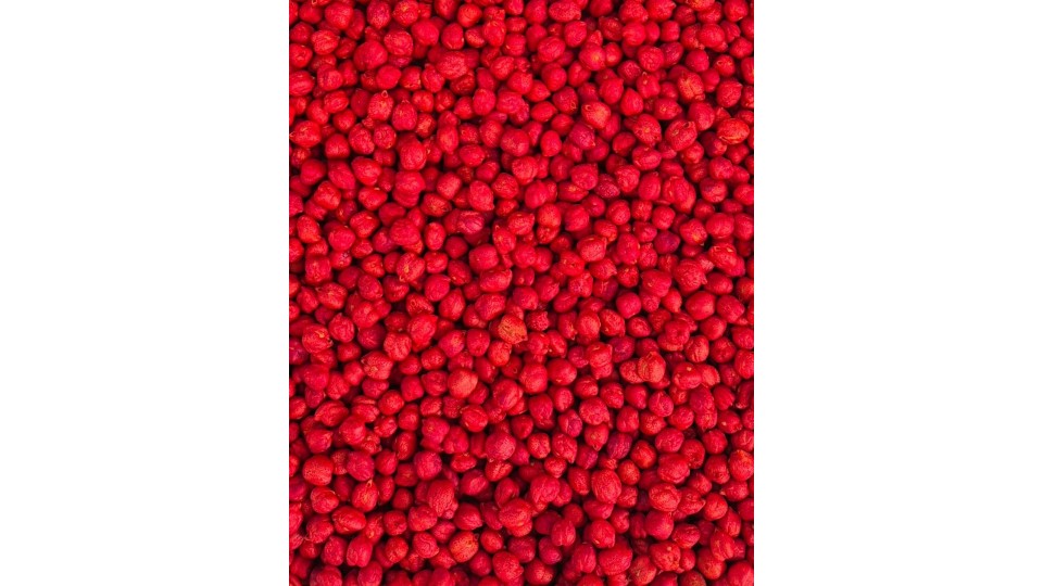 Krāsoti Zirņi Red, Sensoro Rotaļu Materiāls, Bāze - Ouwakids Krāsoti Zirņi Red, Sensoro Rotaļu Materiāls, Bāze - Ouwakids