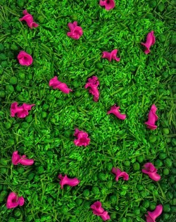 GREEN MEADOW PINK DREAMS, SENSORO ROTAĻU BĀZE - OUWAKIDS