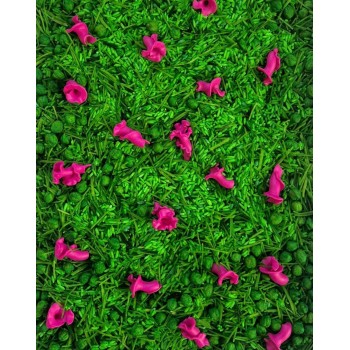 GREEN MEADOW PINK DREAMS, SENSORO ROTAĻU BĀZE - OUWAKIDS